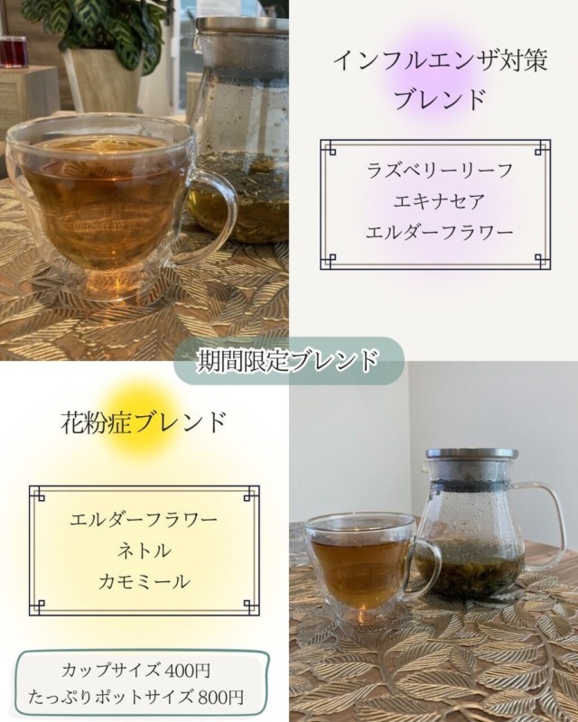 期間限定ハーブティー“インフルエンザ対策ブレンド”＆“花粉症ブレンド”