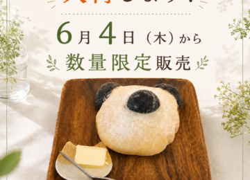 【 ꕥパンダおしりパン入荷します！6月4日（木）から数量限定販売ꕥ 】