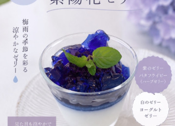 【❋ 期間限定スイーツ「紫陽花ゼリー」 が始まります❋】
