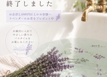 【✴︎ラベンダーティー終了&プレゼントのお知らせ✴︎】