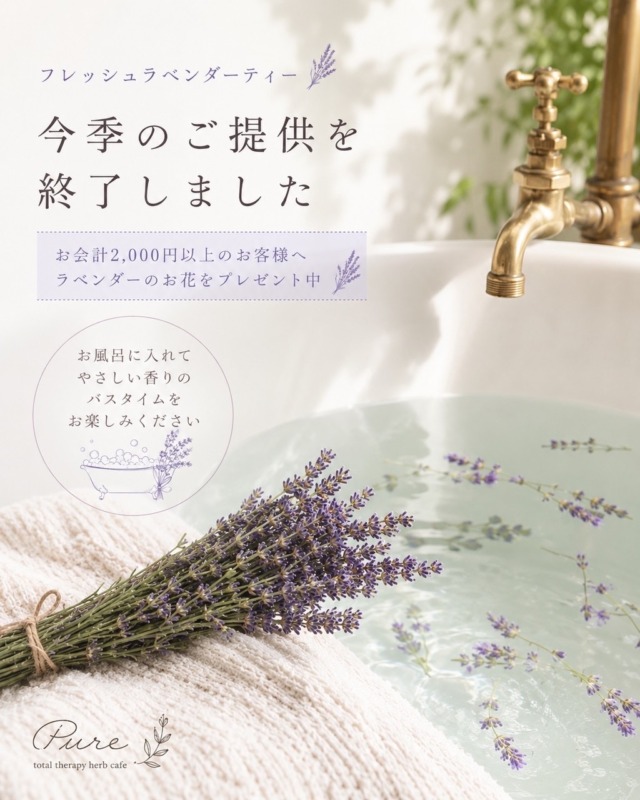 ラベンダーティー終了