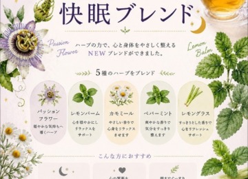 【✴︎快眠ブレンドがさらに飲みやすくなりました✴︎】