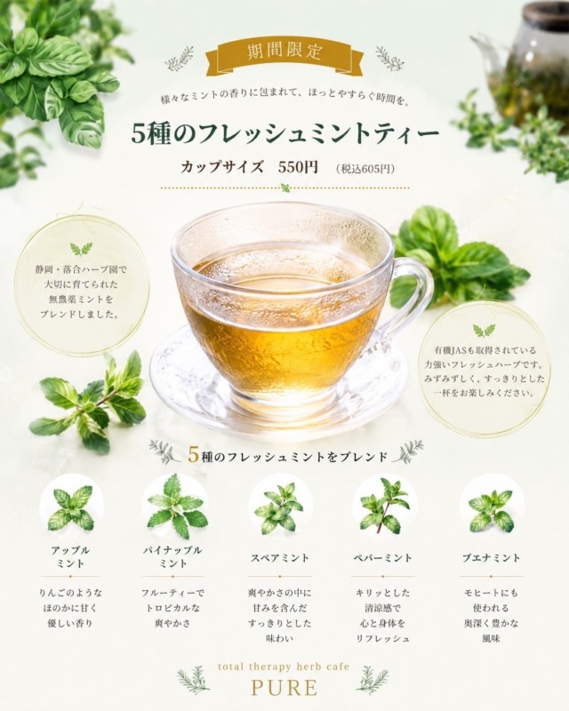 5種のフレッシュミントティー